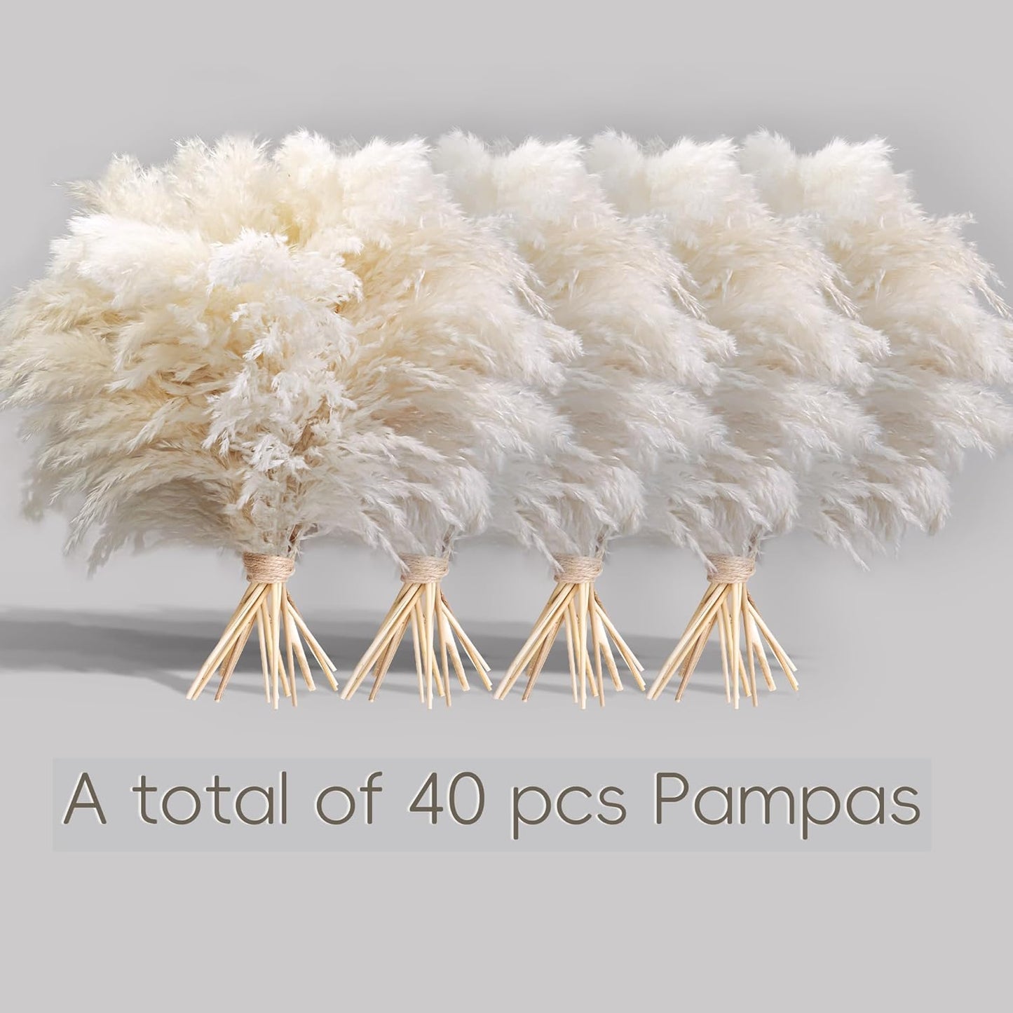 Pampas Grass Decor, Natural Dry Pampas Grass Small, Short Pampass Bulk for Farmhouse, Wall, Kitchen, Bedroom Decor, Office Decor (17 inch )