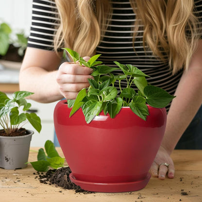 Ceramic Modern Glaze Succulent Planter Pot with Drainage Hole and Saucer 6 Inch Round Flower Plant Pot for Indoor Outdoor Herb Snake Plants