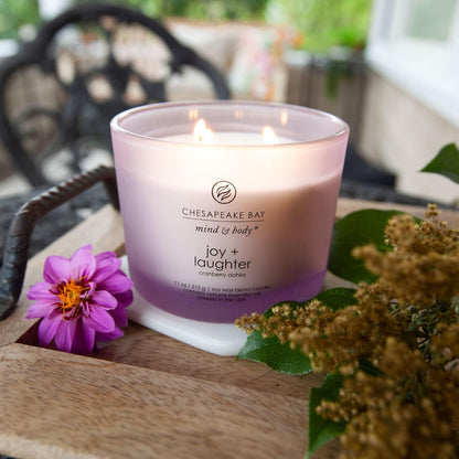 Chesapeake Bay Candle PT40886 Scented Candle Awaken + Invigorate (Lemongrass Eucalyptus) Medium Green Home Décor