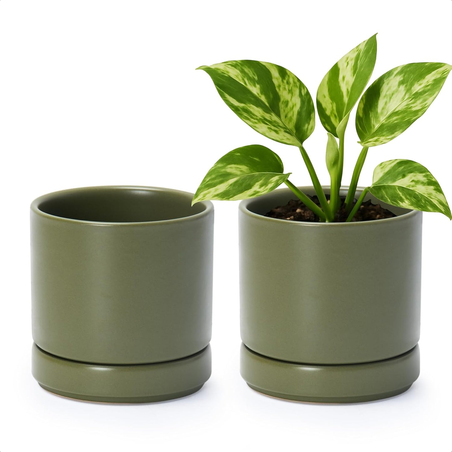 D'vine Dev Set of 2 Plants Pots, 6.5 Inch Ceramic Planter Pot for Plants with Drainage Hole and Saucer, White, 94-V-C-1