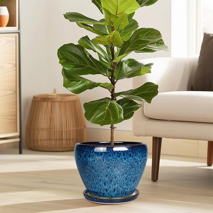 Ceramic Modern Glaze Succulent Planter Pot with Drainage Hole and Saucer 6 Inch Round Flower Plant Pot for Indoor Outdoor Herb Snake Plants