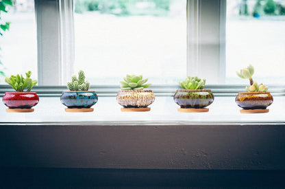 Cute Ceramic Succulent Garden Pots, Planter with Drainage and Attached Saucer, Set of 5 -Plants Not Included (Round)