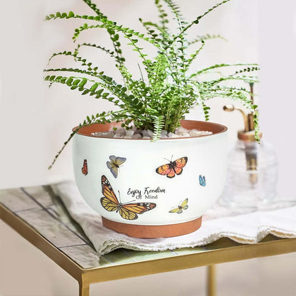 YBX 8 Inch + 6 Inch Ceramic Plant Pots, Succulent Flower Pots with Drainage Holes, Terracotta Planters for Indoor Plants, White&Terracotta (Garden)