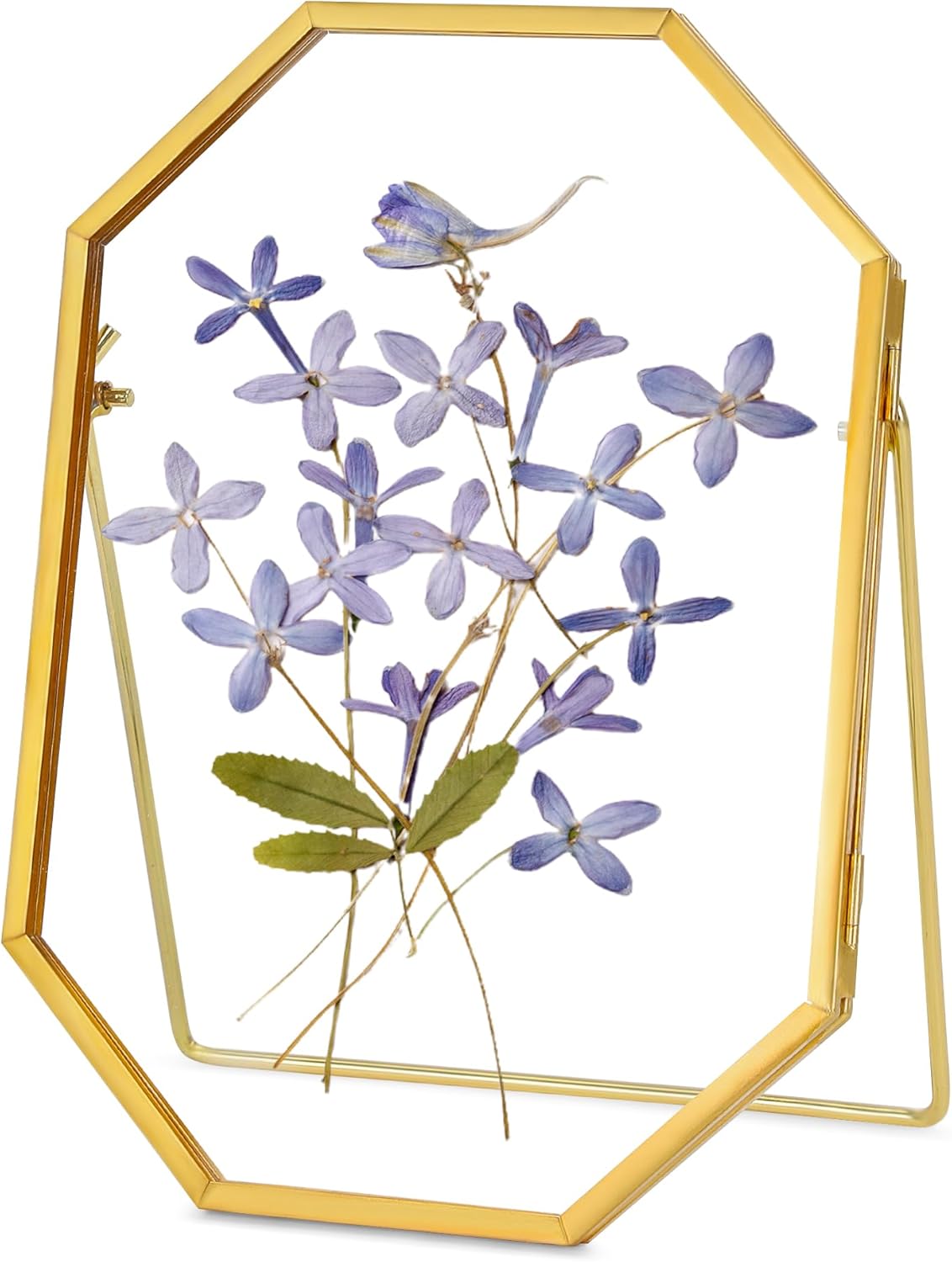 REDHUGO Glass Pressed Flower Frame Handmade, Metal Floating Picture Frame, Double Glass for Tabletop Display, Unique Brass Octagon, Gold, 5x7 Inches (Frame Only)