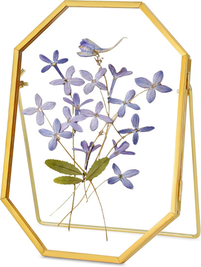 REDHUGO Glass Pressed Flower Frame Handmade, Metal Floating Picture Frame, Double Glass for Tabletop Display, Unique Brass Octagon, Gold, 5x7 Inches (Frame Only)