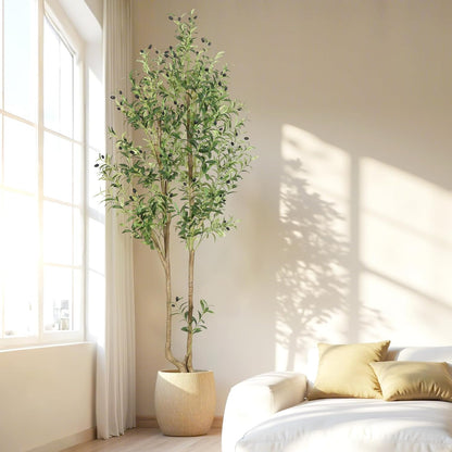 HZXGCP 6ft Artificial Olive Tree Indoor, Fake Olive Tree with White Pot, Faux Olive Tree with Dense Leaves & Realistic Fruits, Tall Artificial Plant for Home Living Room Office Entryway Decor