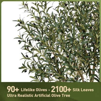 Verinatural Olive Tree Artificial Indoor 6ft - UV Resistant Large Fake Plants - Realistic Faux Olive Tree in Pot - Tall Artificial Plants Outdoor for Home, Patio, Living Room, Office Decor,VN138