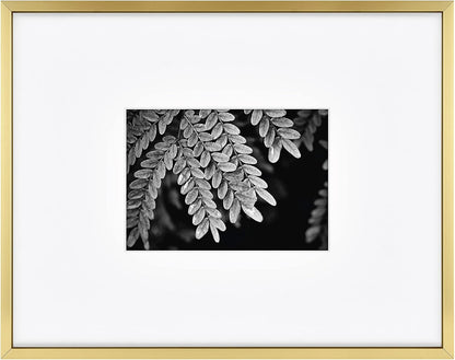 MCS Master & Co. Foundry Metal 18x18 Matted Picture Frame with 8x8 Photo Display, Black Vertical & Horizontal Wall Hanging Frame for Photos & Artwork (1-Pack)