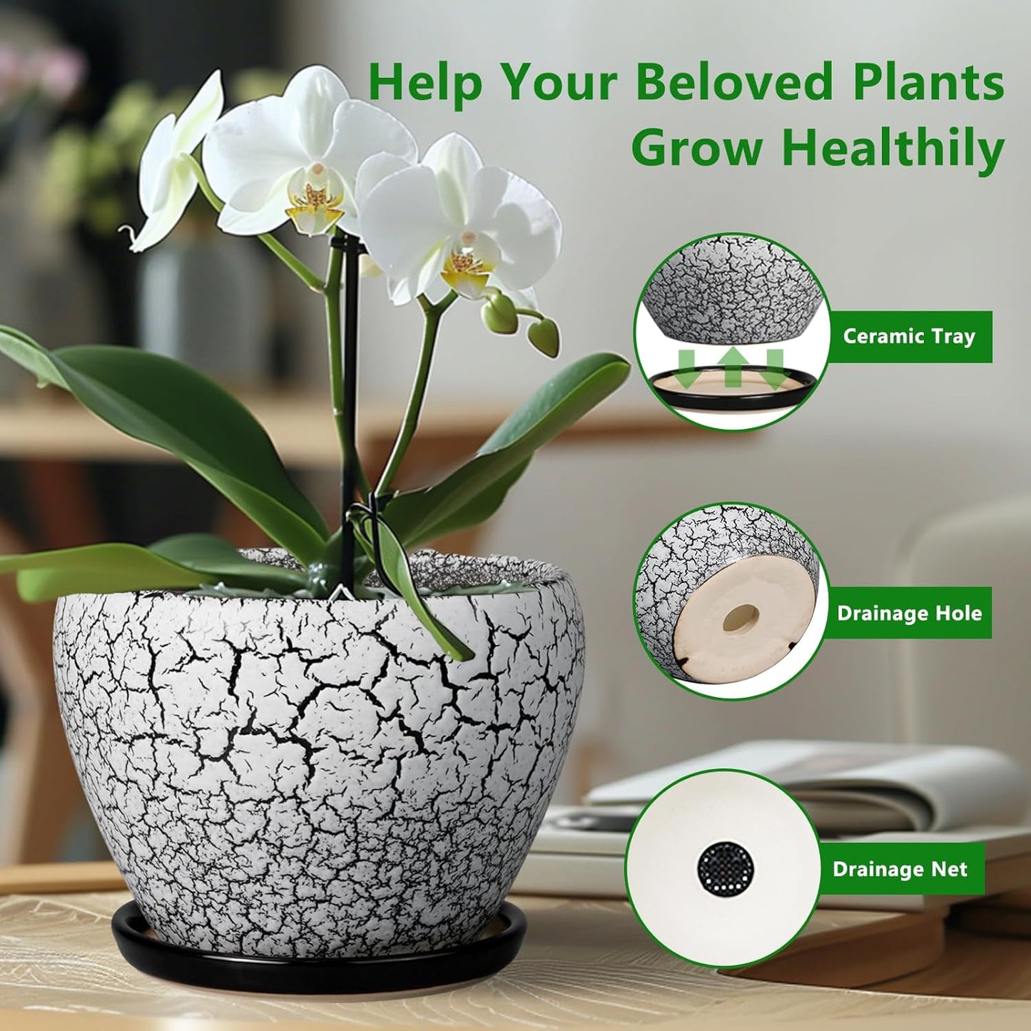 Ceramic Modern Glaze Succulent Planter Pot with Drainage Hole and Saucer 6 Inch Round Flower Plant Pot for Indoor Outdoor Herb Snake Plants