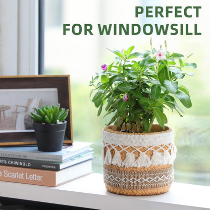 vomiceak Face Planter Pots Head, Planters for Indoor Plants - Double Cute Plant Pots for Flower & Succulent with Drainage Holes - Gift Ideas for Women (White Lady)
