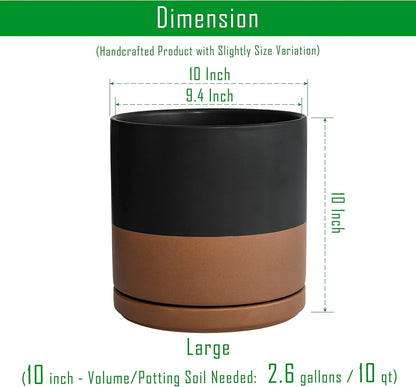 D'vine Dev Set of 2 Plants Pots, 6.5 Inch Ceramic Planter Pot for Plants with Drainage Hole and Saucer, White, 94-V-C-1