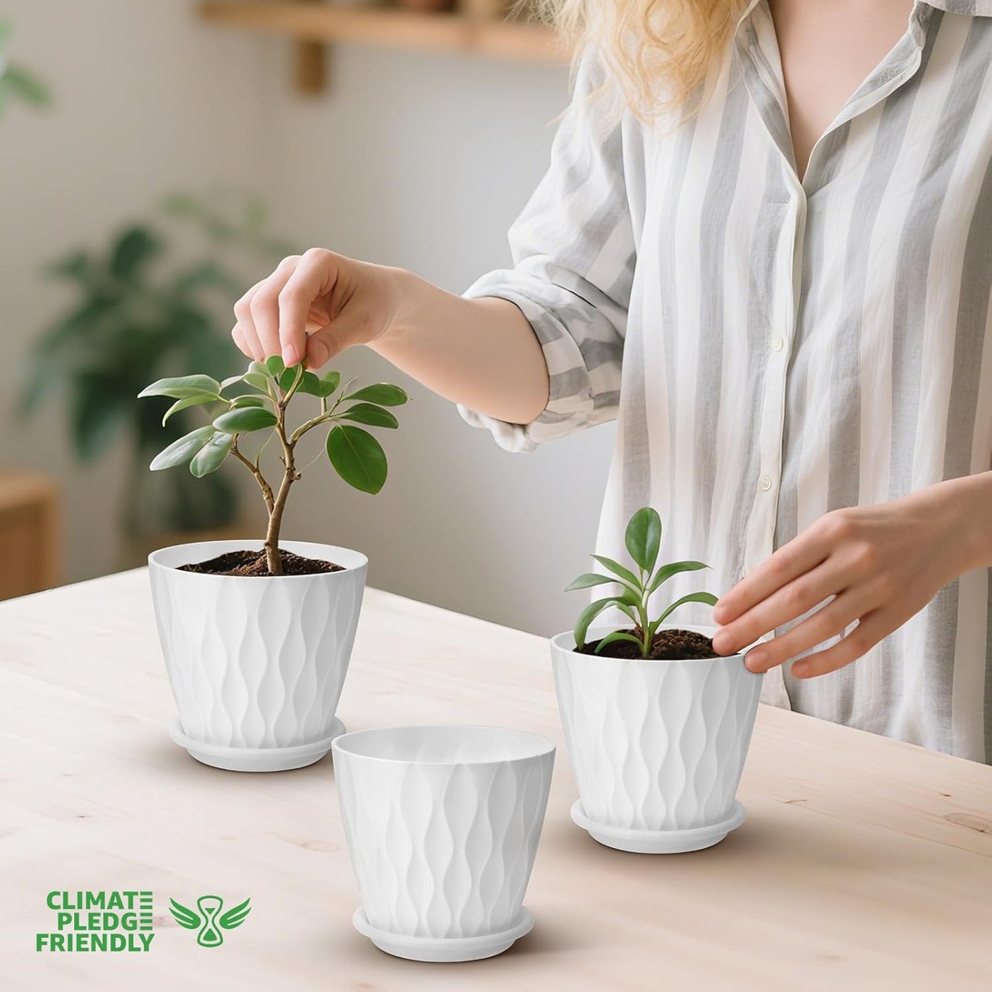 YNNICO 6 inch Plant Pots, 5 Pack Flower Pots Outdoor Indoor, Planters with Drainage Holes and Tray Saucers（Multicolor）