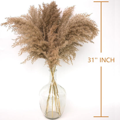 Pampas Grass Decor, Natural Dry Pampas Grass Small, Short Pampass Bulk for Farmhouse, Wall, Kitchen, Bedroom Decor, Office Decor (17 inch )