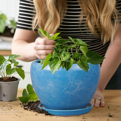 Ceramic Modern Glaze Succulent Planter Pot with Drainage Hole and Saucer 6 Inch Round Flower Plant Pot for Indoor Outdoor Herb Snake Plants