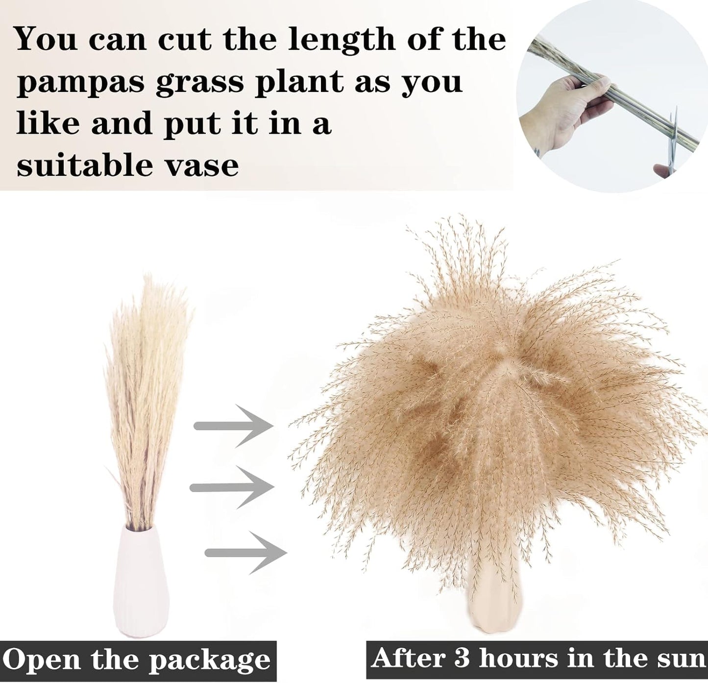 65PCS Pampas Grass Decor, Including pompas Floral, Reed Dried Grass and Bunny Tails Dried Flowers, Natural Dried Pampas Grass Bouquet for Boho Decor Wedding, Home Decoration