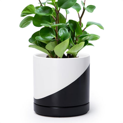 D'vine Dev 6.5 Inch Ceramic Planter Pot with Drainage Hole and Saucer, Indoor Cylinder Round Planter Pot, Olive, 94-O-C-J