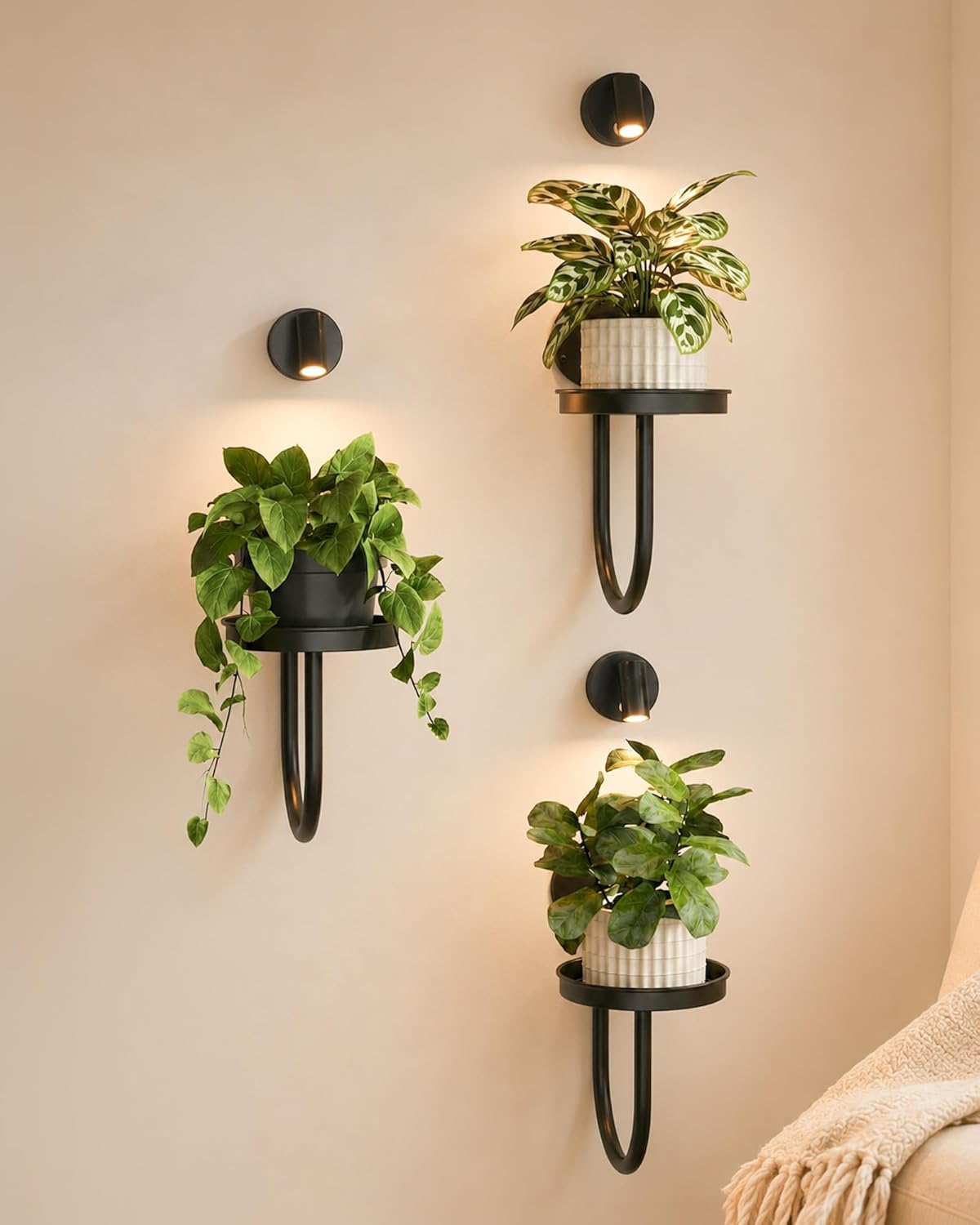 Bamworld Hanging Planters for Indoor Plants Wall Plant Holder Plant Hanger Indoor Wall Planters Window Plant Shelves Hanging Plant Holder Window Plant Hanger Plant Decor Black 3pcs