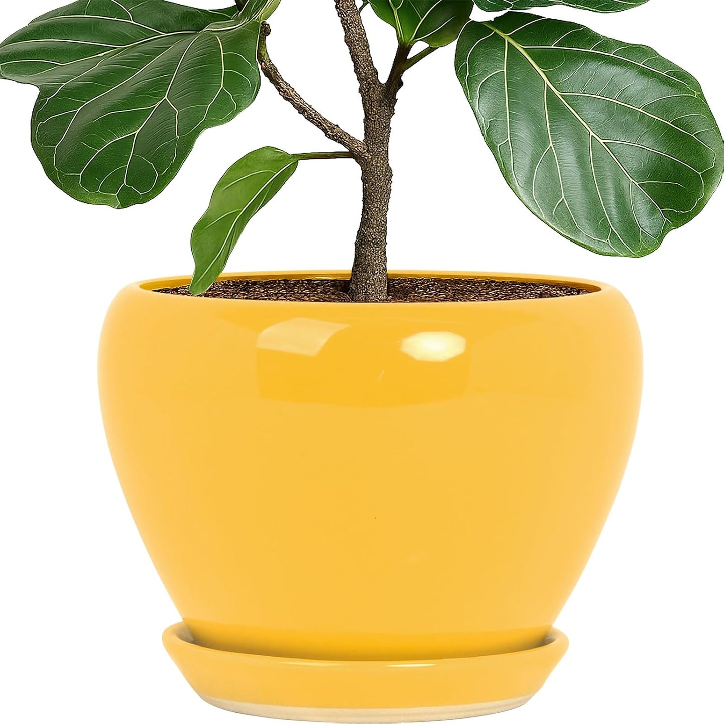 Deep Dream 6 Inch Plant Pots- Ceramic Planter Pot with Drainage Hole and Saucer, Round Flower Pot for Indoor Outdoor Succulent, Snake Plants and Cactus, Blue