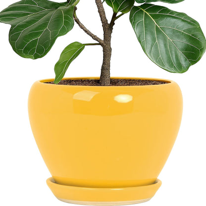 Deep Dream 6 Inch Plant Pots- Ceramic Planter Pot with Drainage Hole and Saucer, Round Flower Pot for Indoor Outdoor Succulent, Snake Plants and Cactus, Blue
