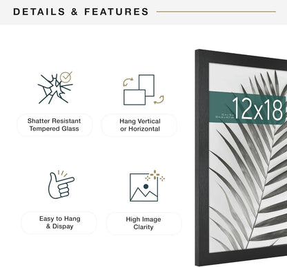 MCS Studio Gallery 16x24 Poster Frame Black Woodgrain Engineered Wood, Vertical & Horizontal Wall Hanging Large Picture Frame for Photos, Posters & Art Prints (1-Pack)