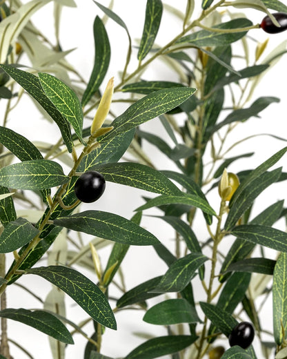 Artificial Olive Tree 6FT - Tall Faux Olive Trees Indoor with Planter&Cotton Basket, Large Fake Olive Plants Realistic Branches Natural Wood Trunk and Fruits for Home House Office Decor
