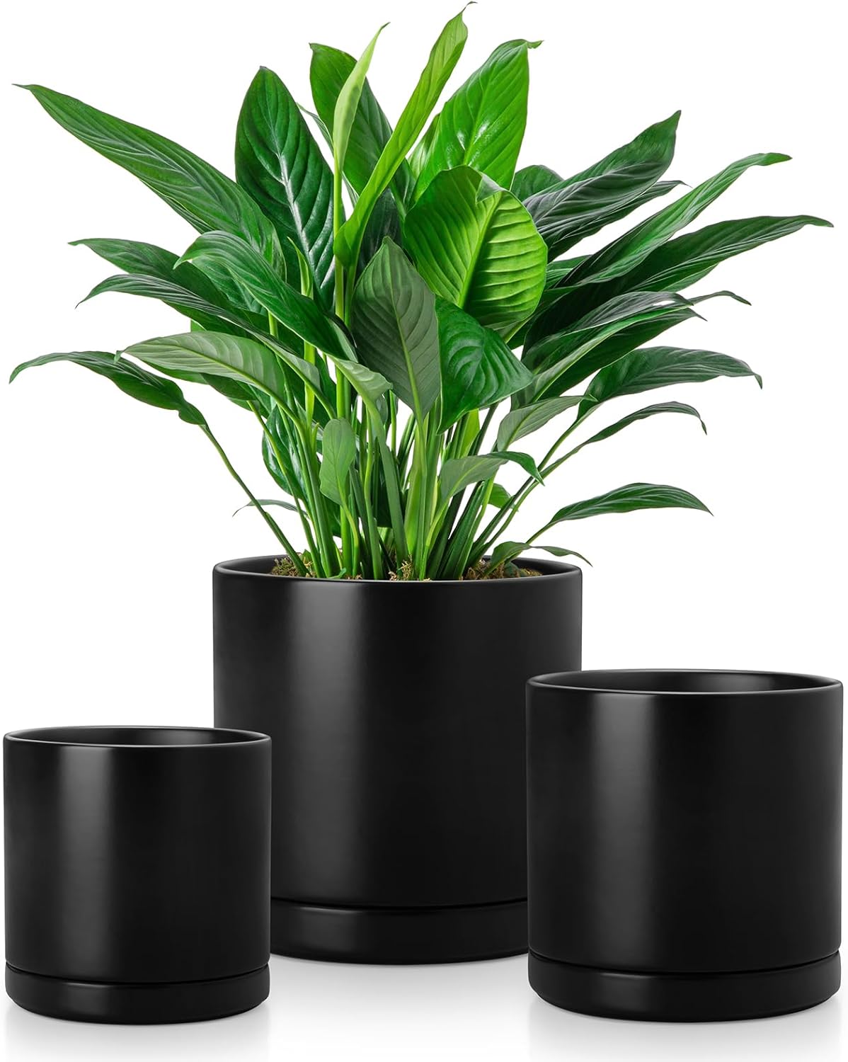 vancasso Ceramic Plant Pots, 3 Piece Planters for Indoor Plants, 4.25+5.25+6.25 Inch Flower Pots with Drainage, Plant Pots Indoor for Succulent, Pothos, Snake Plant and Money Tree, Etc (White)