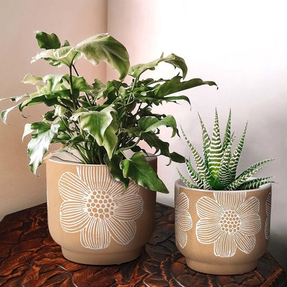 YBX 8 Inch + 6 Inch Ceramic Plant Pots, Succulent Flower Pots with Drainage Holes, Terracotta Planters for Indoor Plants, White&Terracotta (Garden)
