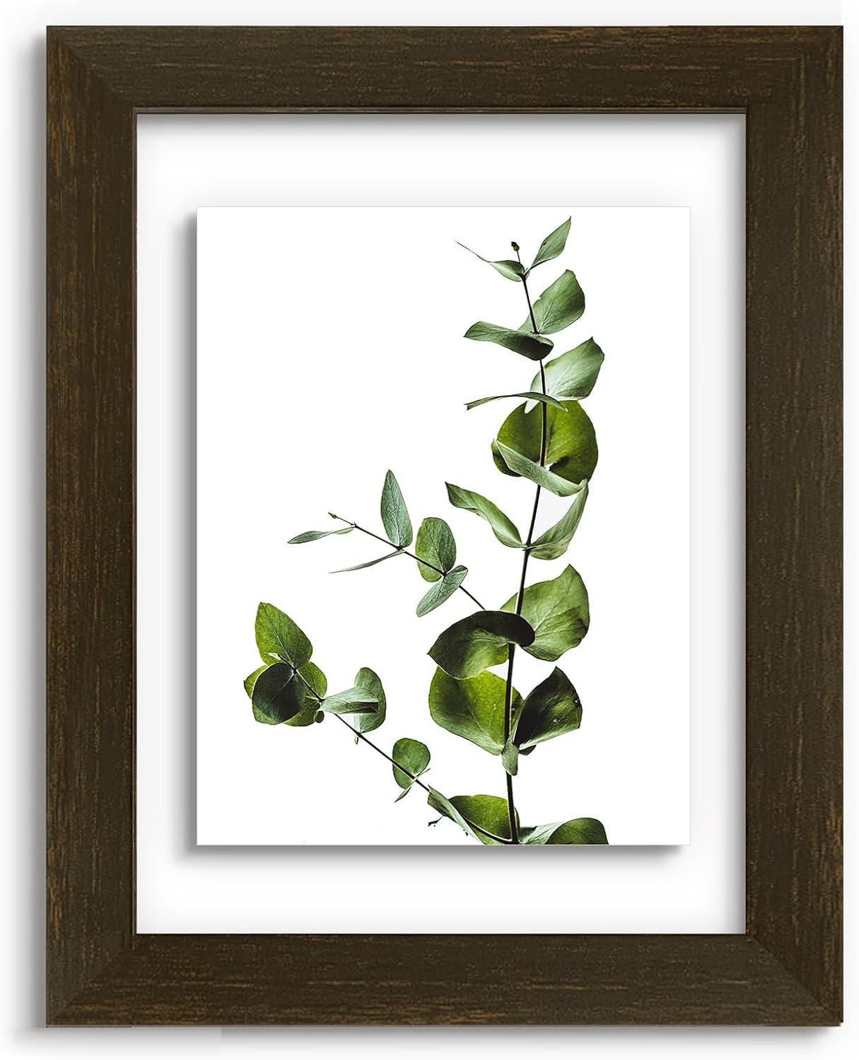Golden State Art, 11X14 Floating Picture Frame, Black Wood Frame Display Any Size Photo Up To 11X14, Pressed Flower Frames with Hanging Hardware - Horizontal And Vertical Formats for Wall