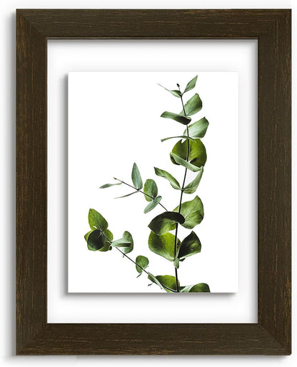 Golden State Art, 11X14 Floating Picture Frame, Black Wood Frame Display Any Size Photo Up To 11X14, Pressed Flower Frames with Hanging Hardware - Horizontal And Vertical Formats for Wall