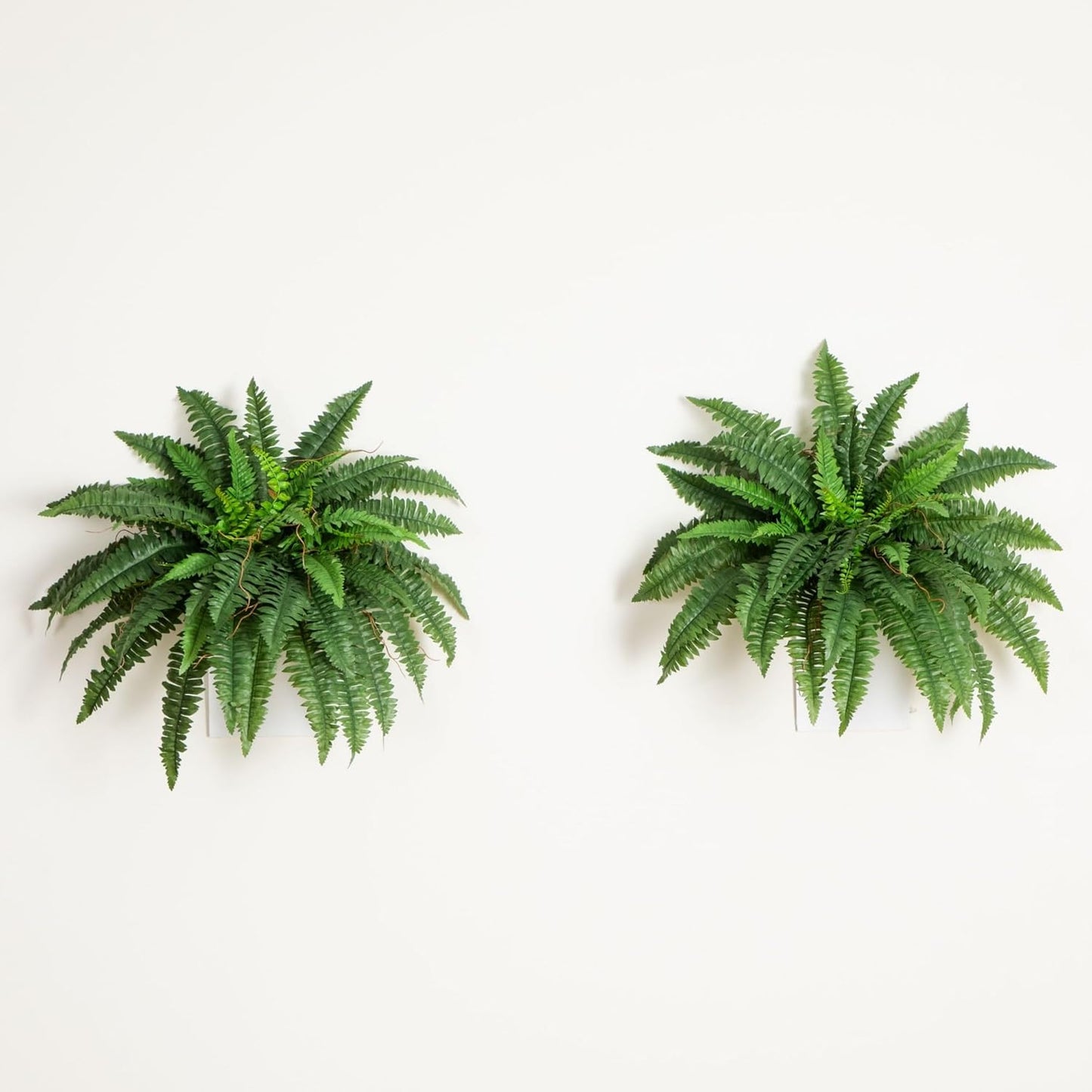 Nearly Natural 48in Artificial Boston Fern (Set of 2), Large Faux Greenery with 67 Lifelike Fronds for Indoor Wall, Shelf, and Home Office Decor