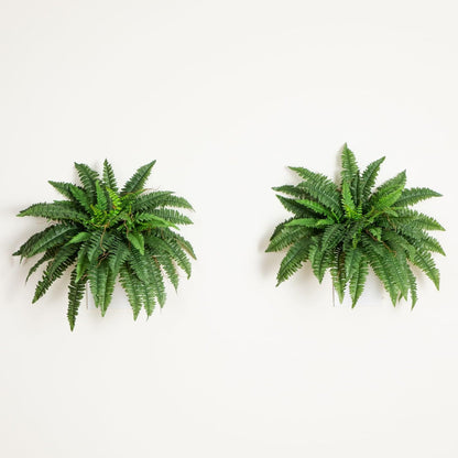 Nearly Natural 48in Artificial Boston Fern (Set of 2), Large Faux Greenery with 67 Lifelike Fronds for Indoor Wall, Shelf, and Home Office Decor