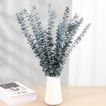 Tavkite 16 Pcs Dried Eucalyptus Stems, 17'' Natural Fresh Eucalyptus Leaves Branches Hanging for Shower, Preserved Real Plant Live Greenery for Home SPA Wall Bathroom Wedding Party Vase Decor