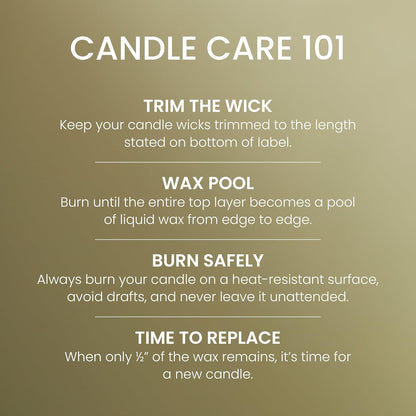 Yankee Candle Balsam & Cedar, Scented Candle, 22oz Large Jar with up to 150 Hour Burn Time, Giftable