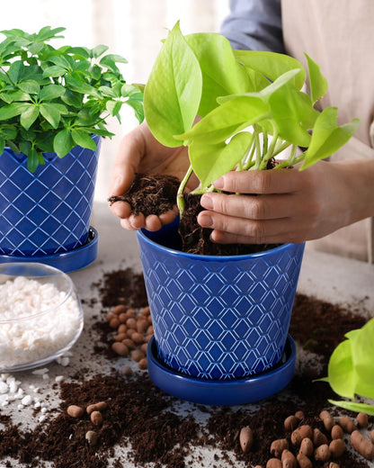 EFISPSS Flower Planter –5 inch Ceramic Plant Pots with Drainage Hole and Ceramic Tray - Gardening Home Desktop Office Windowsill Decoration Gift Set of 4 - Plants NOT Included
