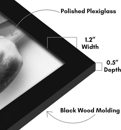 Americanflat 16x20 Picture Frame with Polished Plexiglass - Black Picture Frame - Wide Photo Frames Made of Engineered Wood for Vertical or Horizontal Wall Display - Epic Collection - Black - Colors A