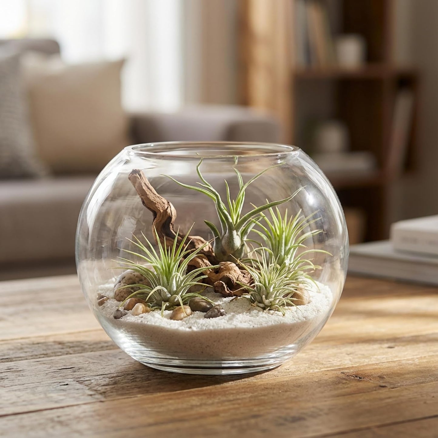 WGV Bowl Glass Vase, Diameter 6", Height 4.5", Open Width 4", (Multiple Sizes Choices) Clear Bubble Planter Terrarium Fish Bowl for Wedding Event Home Decor, 1 Piece (VBW0006A)