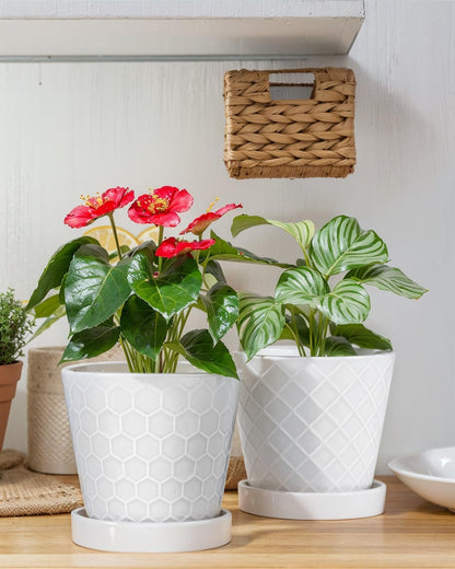 EFISPSS Flower Planter –5 inch Ceramic Plant Pots with Drainage Hole and Ceramic Tray - Gardening Home Desktop Office Windowsill Decoration Gift Set of 4 - Plants NOT Included