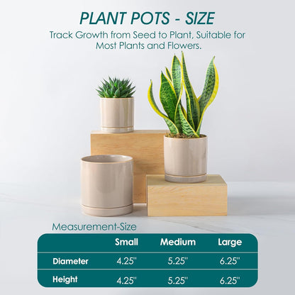 vancasso Ceramic Plant Pots, 3 Piece Planters for Indoor Plants, 4.25+5.25+6.25 Inch Flower Pots with Drainage, Plant Pots Indoor for Succulent, Pothos, Snake Plant and Money Tree, Etc (White)