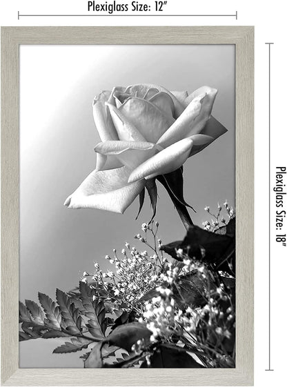 Americanflat 16x20 Picture Frame with Polished Plexiglass - Black Picture Frame - Wide Photo Frames Made of Engineered Wood for Vertical or Horizontal Wall Display - Epic Collection - Black - Colors B