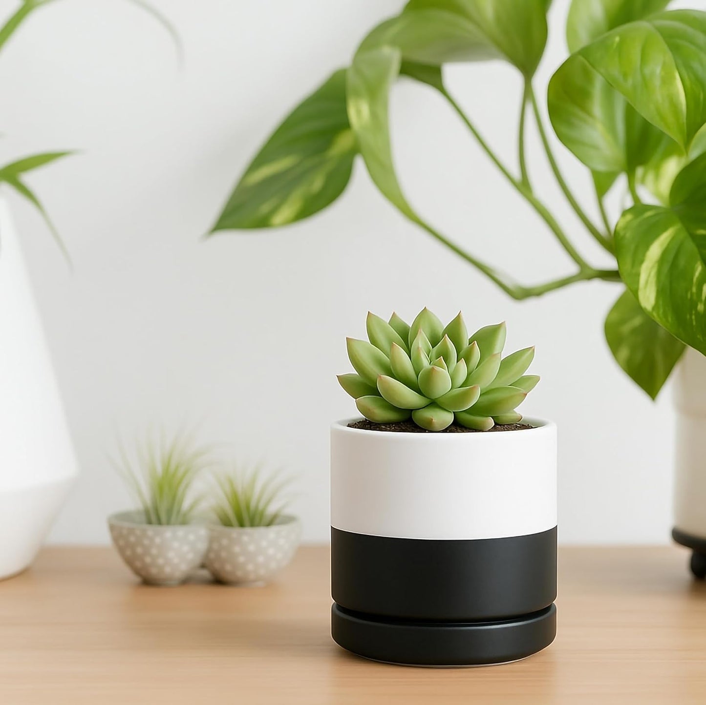D'vine Dev 6.5 Inch Ceramic Planter Pot with Drainage Hole and Saucer, Indoor Cylinder Round Planter Pot, Olive, 94-O-C-J