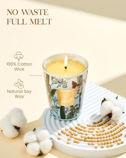 M&SENSE Jasmine Candles Highly Scented 3 Wick 35oz 150 Hours Burn Extra Large Jar Candles for Women, Natural Soy Wax Aromatherapy Candle for Stress Relief, Meditation, Yoga, Spa - Colors A