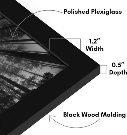 Americanflat 16x20 Picture Frame with Polished Plexiglass - Black Picture Frame - Wide Photo Frames Made of Engineered Wood for Vertical or Horizontal Wall Display - Epic Collection - Black - Colors A