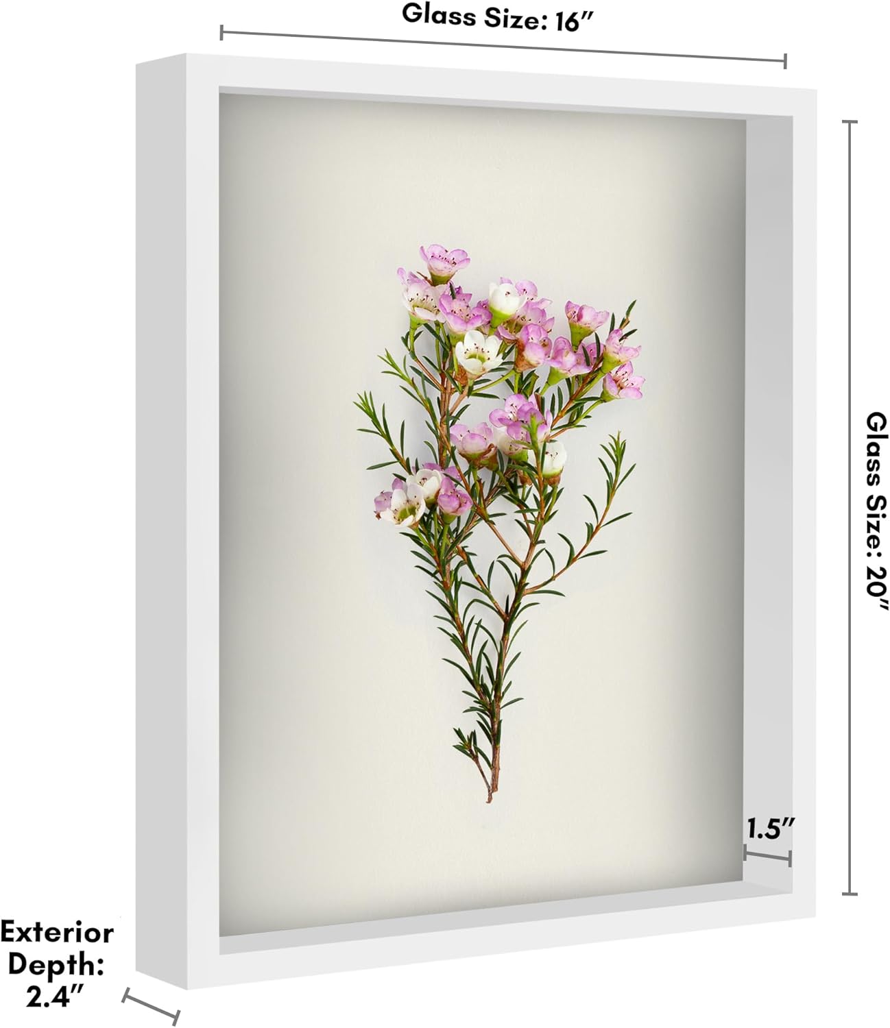 Americanflat 12x16 Shadow Box Frame with Polished Plexiglass - Silhouette Collection - Large Shadow Box Display Case for Tabletop and Wall Display - Black with Soft Felt Back