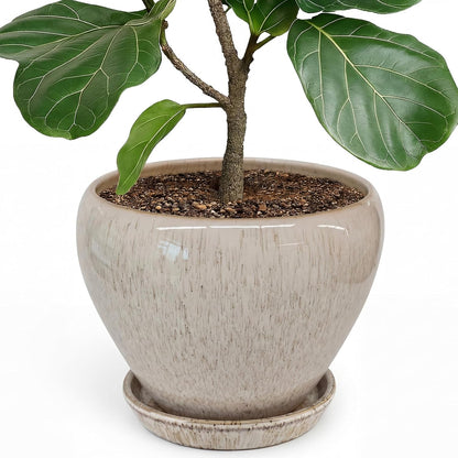 Deep Dream 6 Inch Plant Pots- Ceramic Planter Pot with Drainage Hole and Saucer, Round Flower Pot for Indoor Outdoor Succulent, Snake Plants and Cactus, Blue