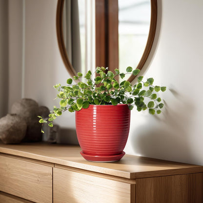 Ceramic Pots for Plants - 6 Inch Plant Pot with Drainage Hole and Saucer, Round Planters for Indoor Outdoor, Flower Pots, Modern Planter, Home Office Room Decor, Gifts for Plant Lovers, White