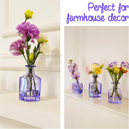 Bud Vases Set of 12, Clear Glass Bud Vase in Bulk, Small Vases for Centerpiece Mini Modern Flower Vase Transparent, Wedding Party Table Home Decor