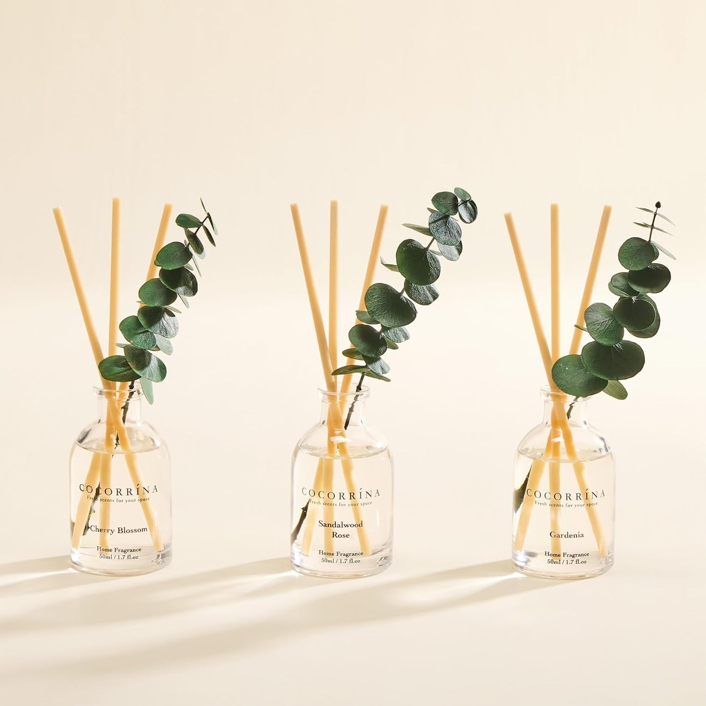 COCORRÍNA Eucalyptus Reed Diffuser Set of 3 - Lavender Eucalyptus, Black Forest, Clean Cotton Scents, 1.7 fl oz Each, Total 5.1 oz, Scented Oil Diffusers for Home & Office﻿