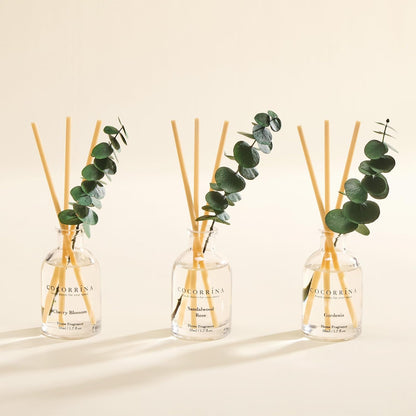 COCORRÍNA Eucalyptus Reed Diffuser Set of 3 - Lavender Eucalyptus, Black Forest, Clean Cotton Scents, 1.7 fl oz Each, Total 5.1 oz, Scented Oil Diffusers for Home & Office﻿