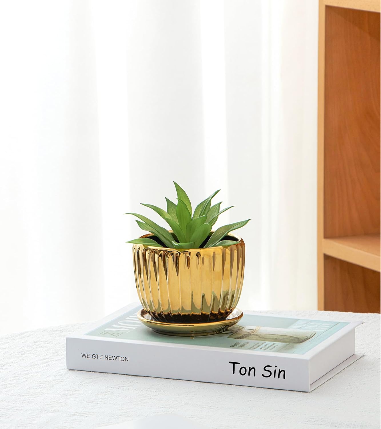 Ton Sin Pink Gold Ceramic Flower Pots, 4"+5"+6" Inch Small Glazed Succulent Planters with Drainage Hole,Modern Indoor Decorative Plant Pots Set of 3,Garden Pots with Saucer