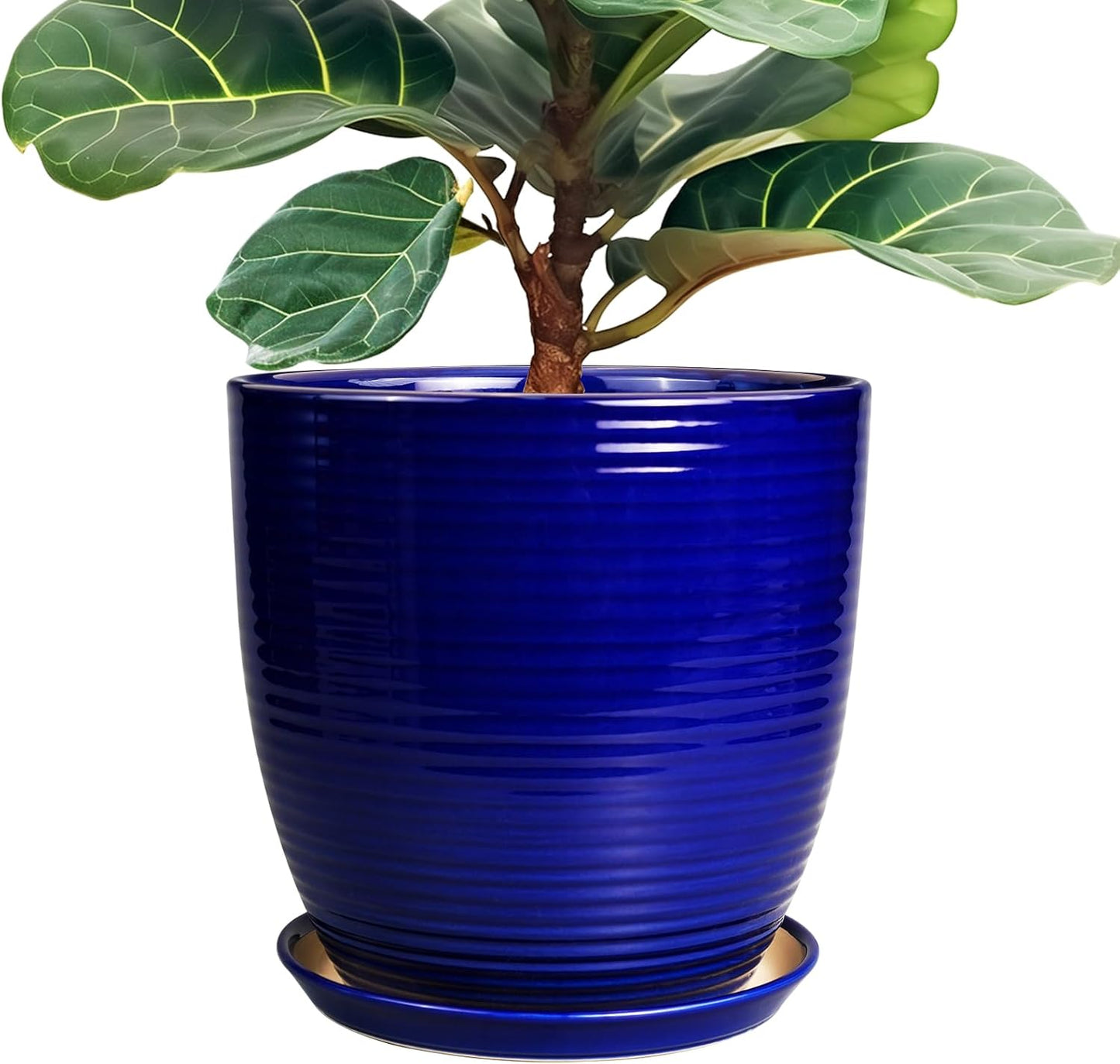 Ceramic Pots for Plants - 6 Inch Plant Pot with Drainage Hole and Saucer, Round Planters for Indoor Outdoor, Flower Pots, Modern Planter, Home Office Room Decor, Gifts for Plant Lovers, White